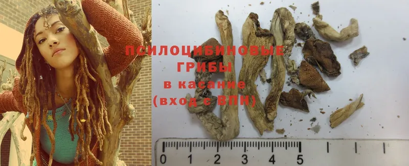 Галлюциногенные грибы MAGIC MUSHROOMS  купить наркоту  Ковров 